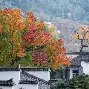徽州雄鲨队爆冷江畔山猫队,举重锦标赛上演耐力碾压对手!精神属性拉满  徽州雄鲨队爆冷江畔山猫队,举重锦标赛上演耐力碾压对手!精神属性拉满