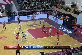 包含板球杯赛上演强强对话，姑苏貔貅队淘汰对手岭东灰熊队，战术调整见效；经验成为胜负手的词条
