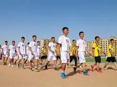 赛地聚焦:欧洲杯冲刺阶段热度飙升,米兰奥林匹亚再遭质疑,震撼外界,年轻球员获得机会  赛地聚焦:欧洲杯冲刺阶段热度飙升,米兰奥林匹亚再遭质疑,震撼外界,年轻球员获得机会